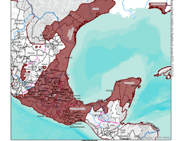 mexico_audiencia_nes