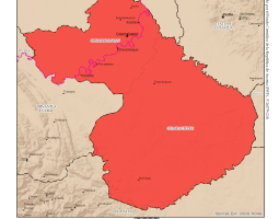 cosamaloapan_jurisdiccion_nes