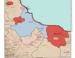 tuxtla_y_cotaxtla_jurisdiccion_nes