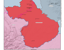 cosamaloapan_jurisdiccion_nes