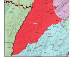 ibague_jurisdiccion_ngr