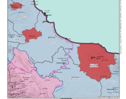 tuxtla_y_cotaxtla_jurisdiccion_nes