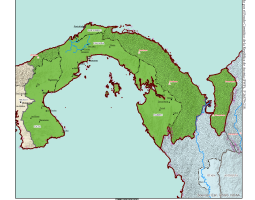 panama_provincia_ngr